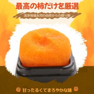 お中元 夏ギフト 2026 [凍]韓国産 あん...の詳細画像4