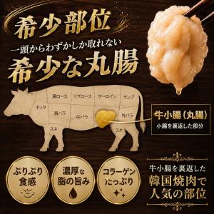 【1880円以上で500円クーポン配布中】[凍...の詳細画像3