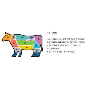 [凍]牛 ハチノス 1kg オーストラリア産 ...の詳細画像4