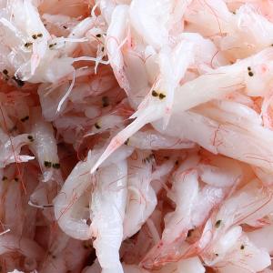 [凍]アミの塩辛 500g(ベトナム産)/塩辛...の詳細画像2