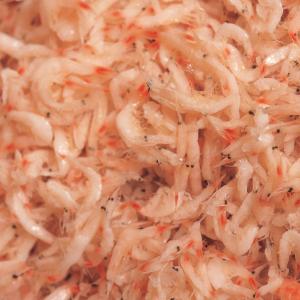 [凍]アミの塩辛 500g(ベトナム産)/塩辛...の詳細画像3