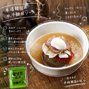 韓国市場 水冷麺用ソース ソースのみ 韓国冷麺...の詳細画像2