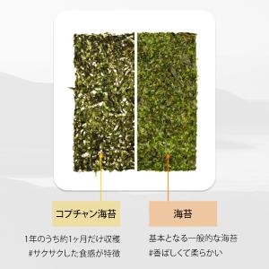 大川海苔(テチョンギム)コプチャン海苔 名品ギ...の詳細画像2