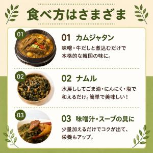 [韓国市場] 乾燥 シレギ 200g 大根葉 ...の詳細画像4