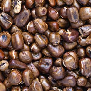 コーン粒茶1kg-中国産/とうもろこし茶/韓国伝統茶の詳細画像2