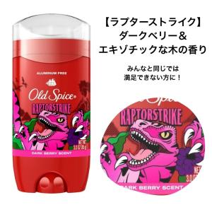 オールドスパイス フレグラスバー 85g ピュ...の詳細画像4