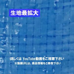 ブルーシート 薄手 軽量タイプ 0.9m×10...の詳細画像1