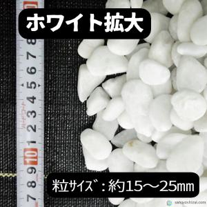 ナチュラルストーン ペブル ホワイト 10kg...の詳細画像1