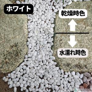 ナチュラルストーン ペブル ホワイト 10kg...の詳細画像4