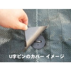 菊水 シートまもるテープ 黒 幅80mm×20...の詳細画像2