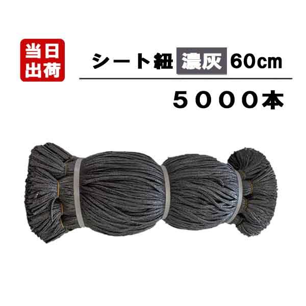 シート紐 60cm 濃灰 5000本入 足場用 組ひも 結束 ロープ ひも 仮設 現場 メッシュ 防...