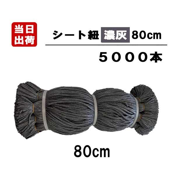シート紐 80cm 濃灰 5000本入 足場用 組ひも 結束 ロープ ひも 仮設 現場 メッシュ 防...