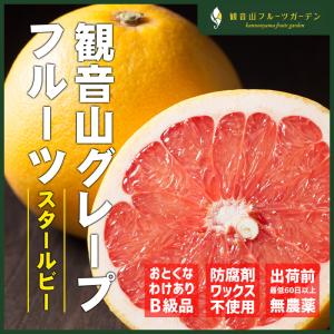 豊作セール20％OFF 国産グレープフルーツ スタールビー 訳ありえくぼ 1kg 観音山フルーツガーデン 送料無料｜kannonyama