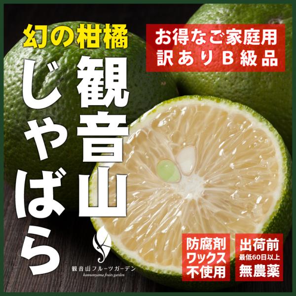 豊作セール10％OFF じゃばら B級品 7kg 和歌山県産ジャバラ 観音山フルーツガーデン 送料無...