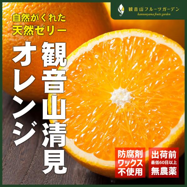 清見オレンジ 清らかに A級品 8kg 和歌山 観音山フルーツガーデン 送料無料