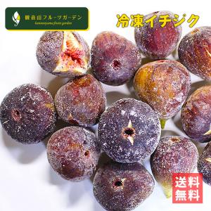 冷凍いちじく 大中小混合 加工用イチジク ジャムやシロップに 2kg 観音