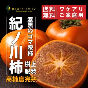 紀ノ川柿 黒ゴマ蜜柿 訳ありご家庭用 3kg  観音山フルーツガーデン 送料無料 番号変更廃盤