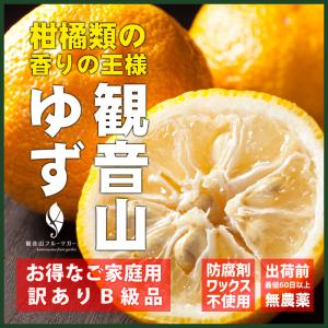 ゆず 観音山ゆず B級 やんちゃ坊主 6kg 減農薬、防腐剤ワックス不使用 和歌山 観音山フルーツガーデン