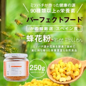 かの蜂 はちみつ 蜂蜜 ハチミツ はちみつ容器 詰め替え容器 逆止弁