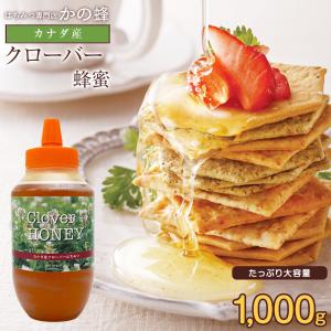 はちみつ入れ容器の商品一覧 通販 Yahoo ショッピング