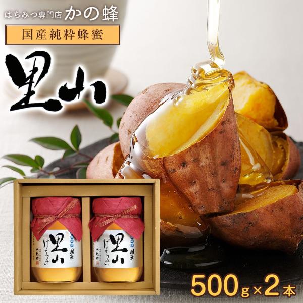 はちみつ 蜂蜜 ハチミツ 蜂蜜ギフト 里山蜂蜜 500g×2本セット 送料無料 はちみつ専門店 かの...