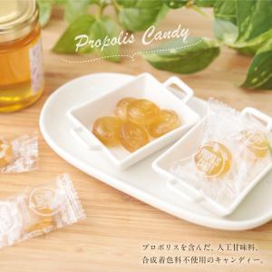 はちみつ 蜂蜜 ハチミツ 飴 キャンディ プロ...の詳細画像1
