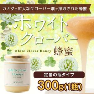 ホワイトクローバー蜂蜜 カナダ産 300g はちみつ専門店 かの蜂｜kanohachi