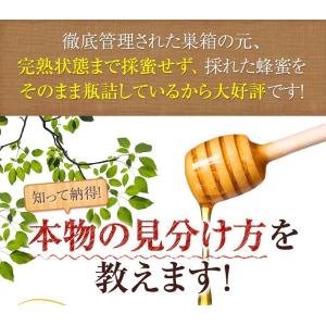 はちみつ 国産 蜂蜜 ハチミツ 大容量 業務用...の詳細画像5