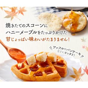 ハニーメープル 500g メープル 蜂蜜 メー...の詳細画像2