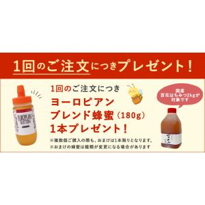 はちみつ 国産 蜂蜜 ハチミツ 容量 業務用 ...の詳細画像1