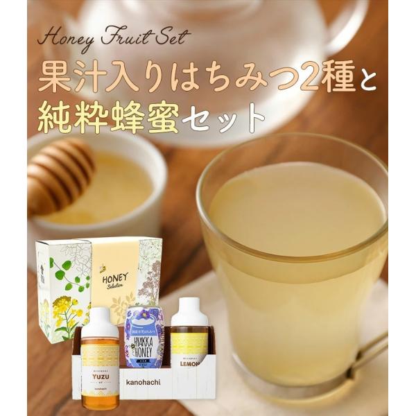 はちみつ 蜂蜜 ハチミツ 蜂蜜 ギフト 果汁入りはちみつ2種と純粋蜂蜜セット 500g×各1本 果汁...