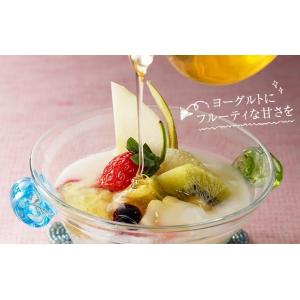 はちみつ 蜂蜜 ハチミツ 大容量 業務用 ベト...の詳細画像4