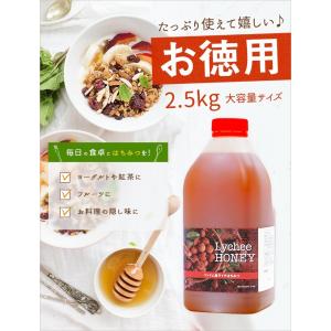 はちみつ 蜂蜜 ハチミツ 大容量 業務用 ベト...の詳細画像5