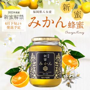 はちみつ 国産 蜂蜜 ハチミツ 2023年度産 新蜜 みかん蜂蜜 1,000g 1kg 蜂蜜専門店 かの蜂　