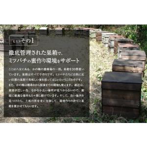 はちみつ 国産 外国産 蜂蜜 ハチミツ お試し...の詳細画像5