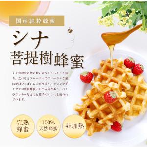 はちみつ 国産 蜂蜜 ハチミツ シナ蜂蜜 菩提...の詳細画像1
