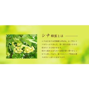 はちみつ 国産 蜂蜜 ハチミツ シナ蜂蜜 菩提...の詳細画像2