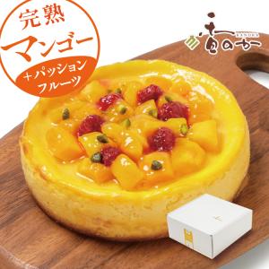 バレンタイン 完熟マンゴーチーズケーキ 爽やか夏スイーツ