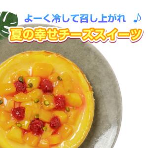 冷凍便 完熟マンゴーチーズケーキ 5号 爽やか...の詳細画像1