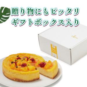 冷凍便 完熟マンゴーチーズケーキ 5号 爽やか...の詳細画像3