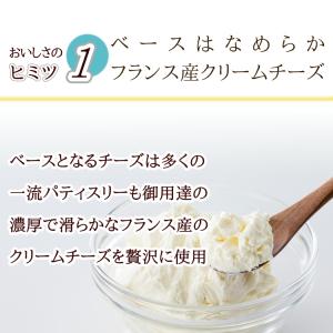 冷凍便 完熟マンゴーチーズケーキ 5号 爽やか...の詳細画像4