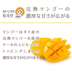 冷凍便 完熟マンゴーチーズケーキ 5号 爽やか...の詳細画像5