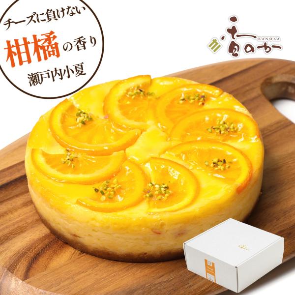 瀬戸内 オレンジ チーズケーキ 柑橘の爽やかな香り バレンシアオレンジと瀬戸内産の小夏入り 5号 ギ...