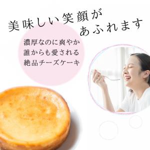 お中元 豊潤 チーズケーキ 濃厚 取り寄せ ス...の詳細画像1