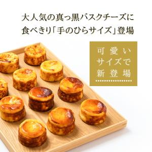 バスク チーズケーキ 個包装 送料無料 ミニ ...の詳細画像1