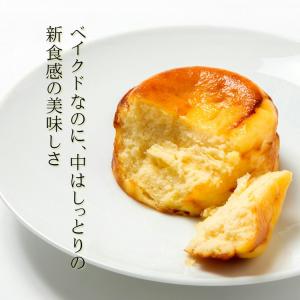 バスク チーズケーキ 個包装 送料無料 ミニ ...の詳細画像2