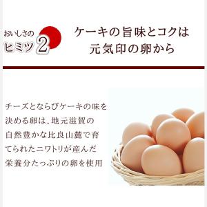 バスク チーズケーキ 個包装 送料無料 ミニ ...の詳細画像5
