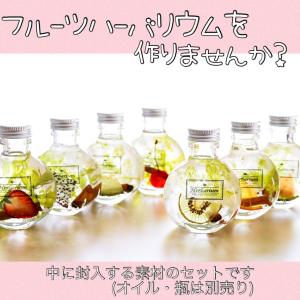 フルーツ ハーバリウム 花材セット オレンジ イ...の商品画像
