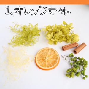 フルーツ ハーバリウム 花材セット オレンジ ...の詳細画像2