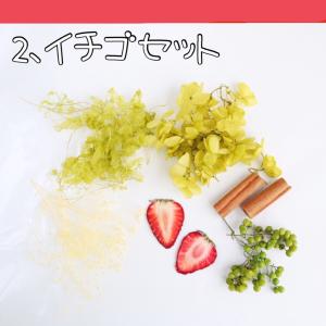 フルーツ ハーバリウム 花材セット オレンジ ...の詳細画像3